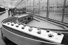 新的一年但愿之歌将唱响正在中华大地的