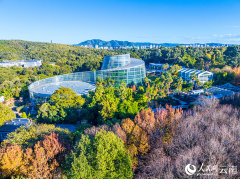 不雅云台150平的房间拆了120余种珍稀植