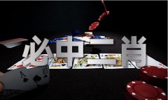 2023澳门十二生肖49个号码图V91