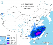 <b>暴雪寒潮来袭小麦发展面对郭天财支招科</b>